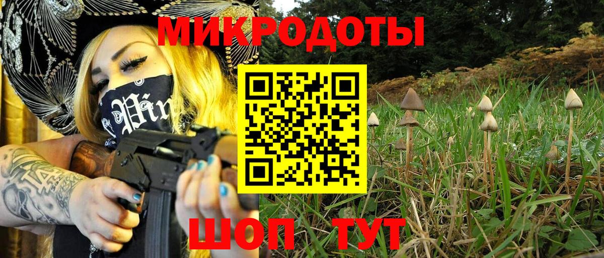 Псилоцибиновые грибы Psilocybe  Вход с VPN  Домодедово 