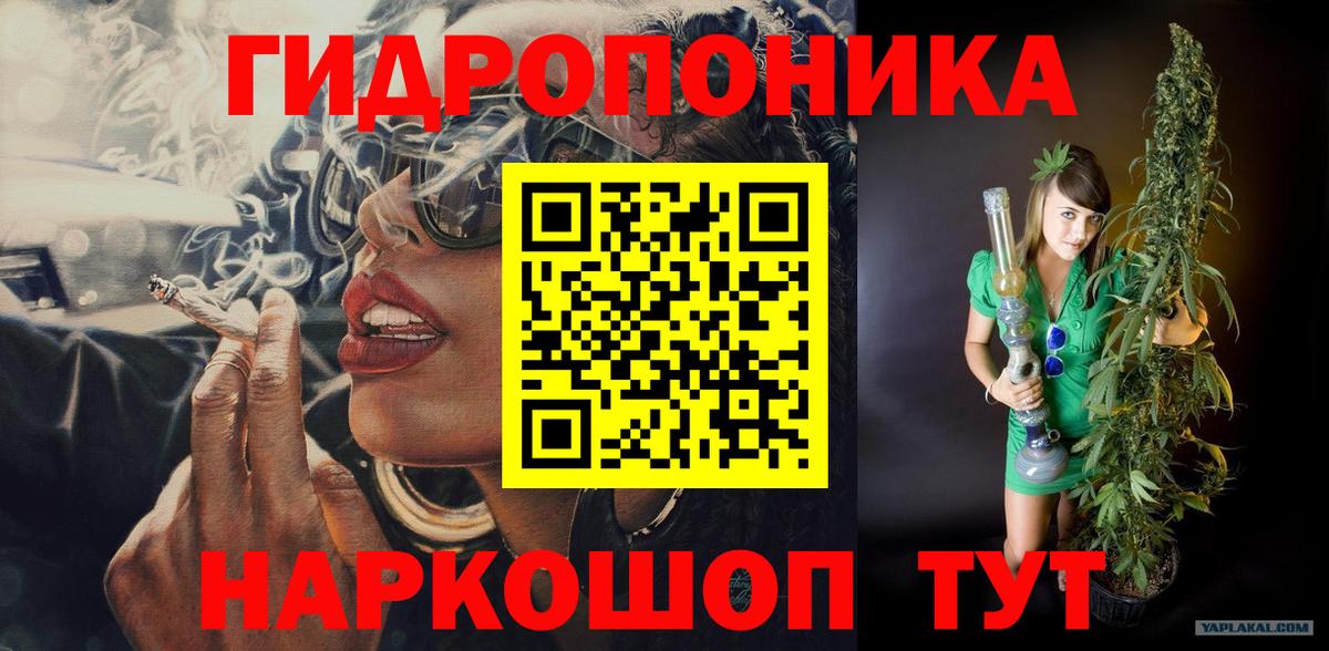 Бошки Шишки план Домодедово